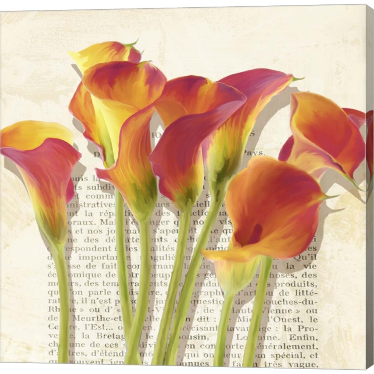 Histoires de Callas (detail) by Luca Villa 24" x 24" Canvas Wall Art